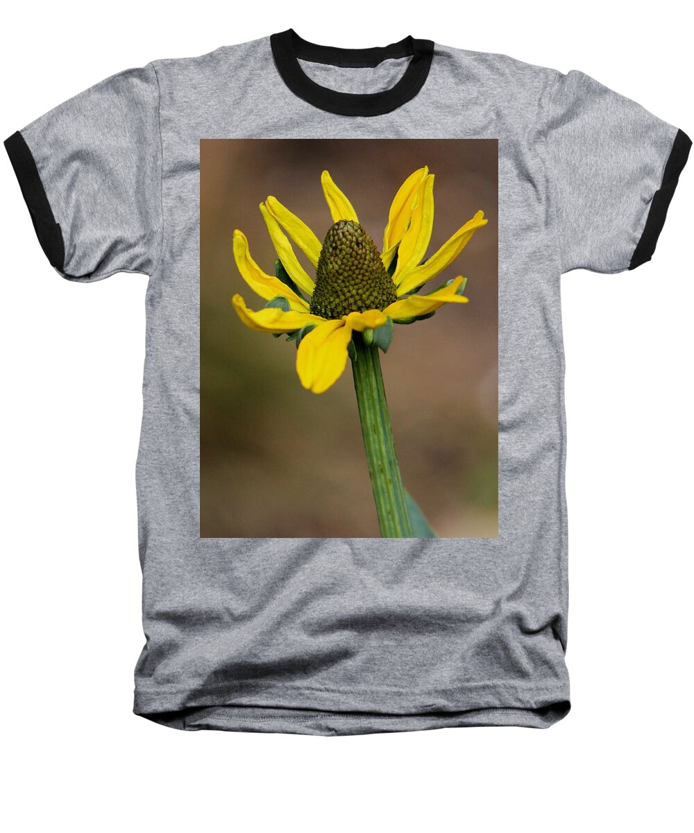 Flower Baseball T-Shirt featuring the photograph Bright and Shining by Deborah Crew-Johnson