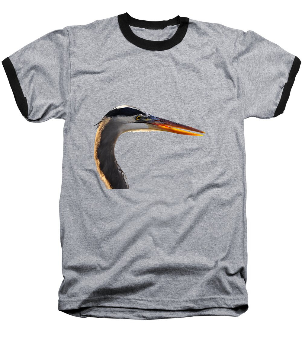 Great Blue Heron Baseball T-Shirt featuring the photograph Bright Beak Blue .png by Al Powell Photography USA