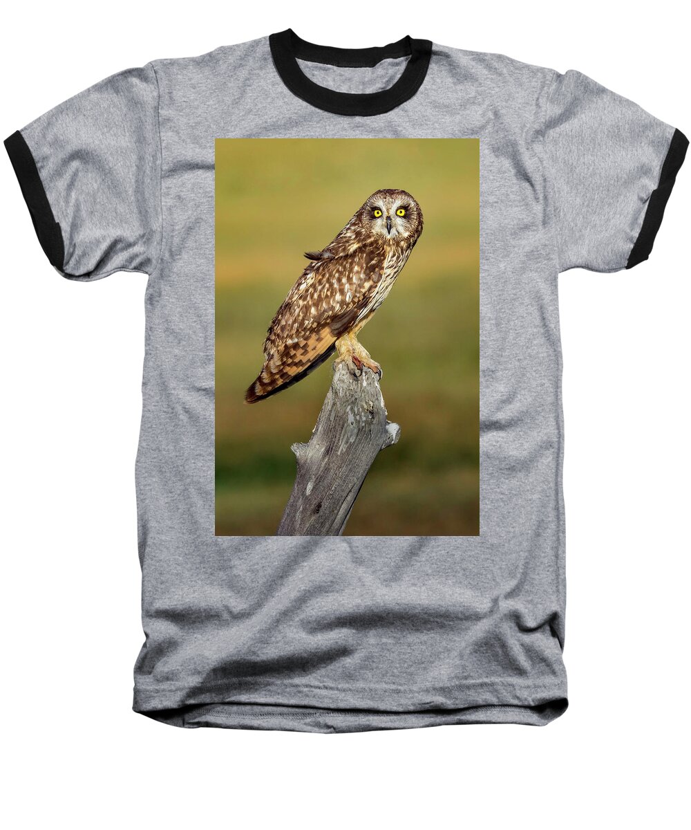 Owl Baseball T-Shirt featuring the photograph Bright-eyed Owl by Michael Ash