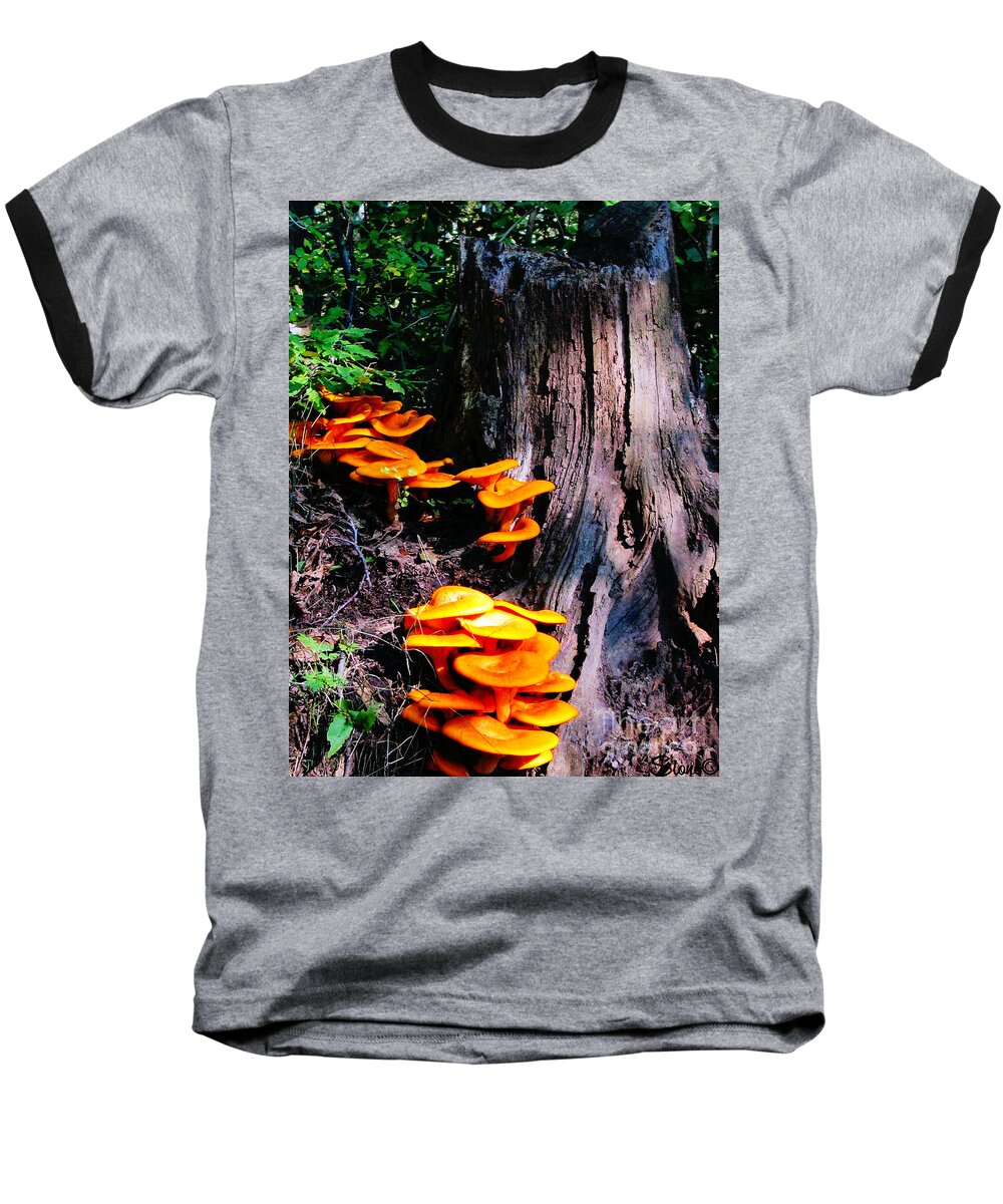 Orange Baseball T-Shirt featuring the photograph Brilliant Orange by September Stone