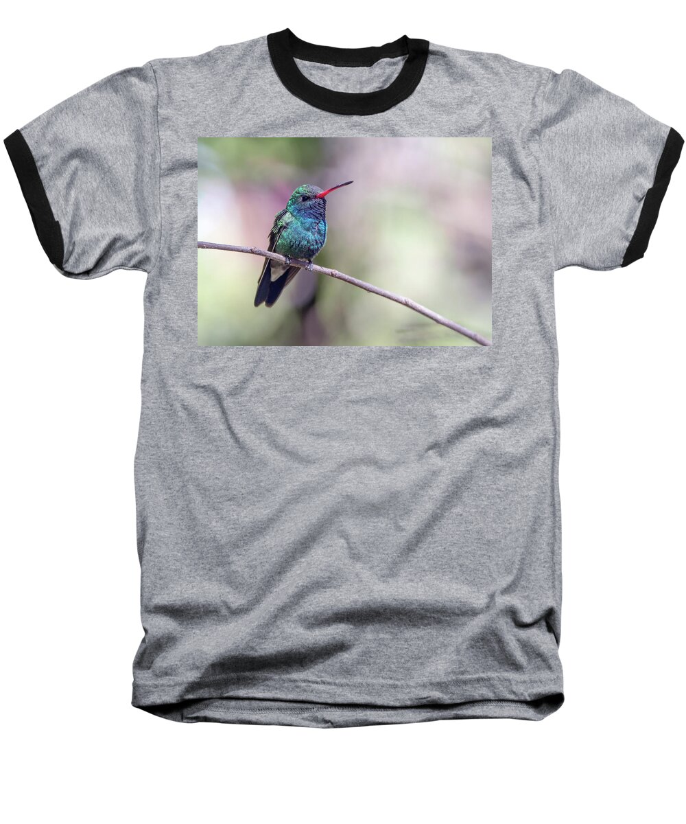 Broad-billed Baseball T-Shirt featuring the photograph Broad-billed Hummingbird 2008-031718-1cr by Tam Ryan
