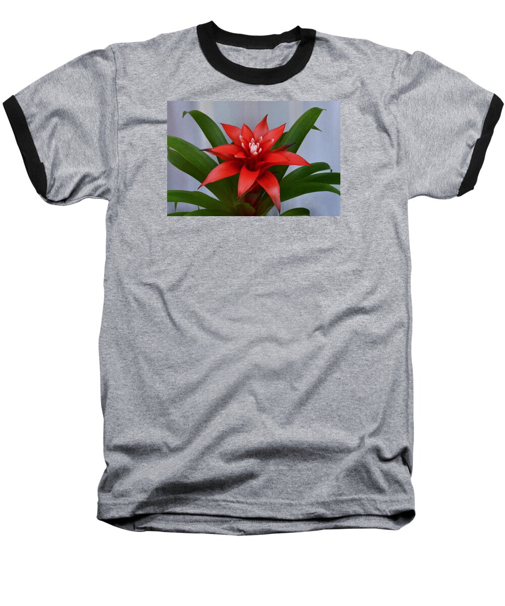 Bromeliad Baseball T-Shirt featuring the photograph Bromeliad by Terence Davis