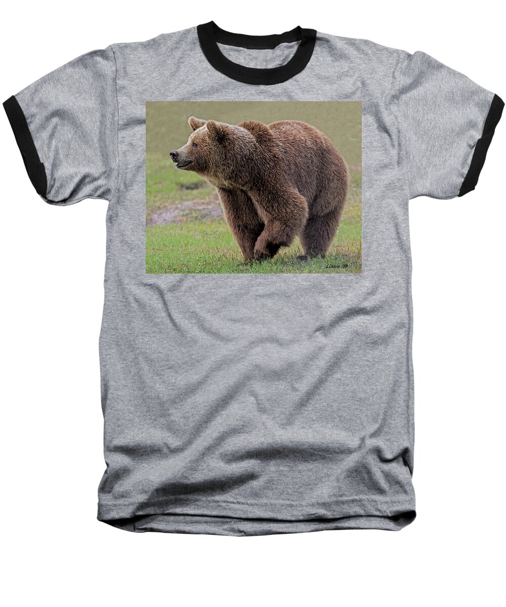 Bear Baseball T-Shirt featuring the digital art Brown Bear 14.5 by Larry Linton