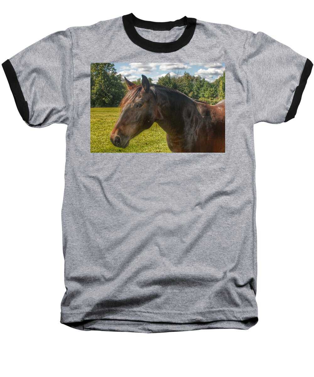 Horse Baseball T-Shirt featuring the photograph 1001 - Brown Beauty I by Sheryl L Sutter