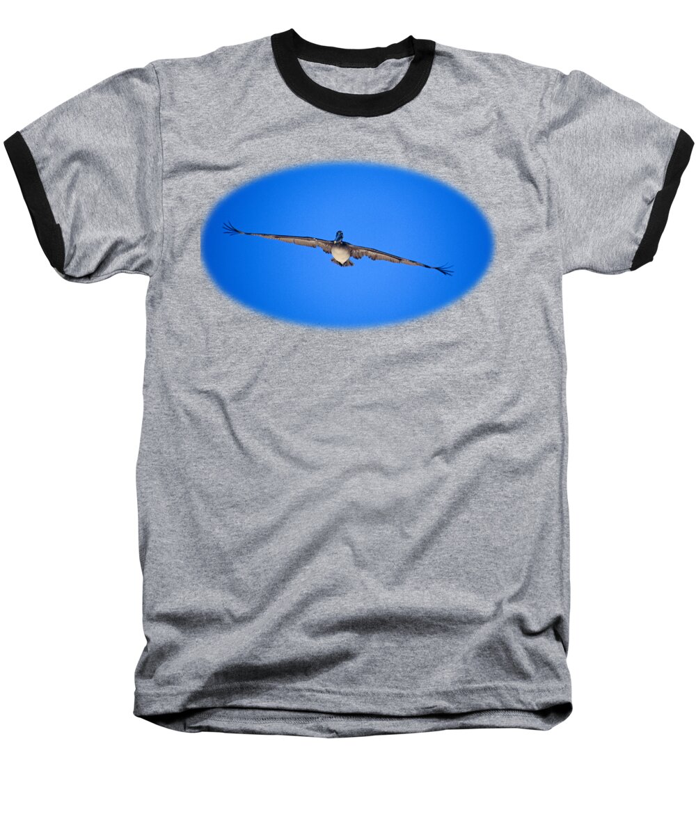 Brown Pelican Baseball T-Shirt featuring the photograph Brown Pelican Flying by John Harmon