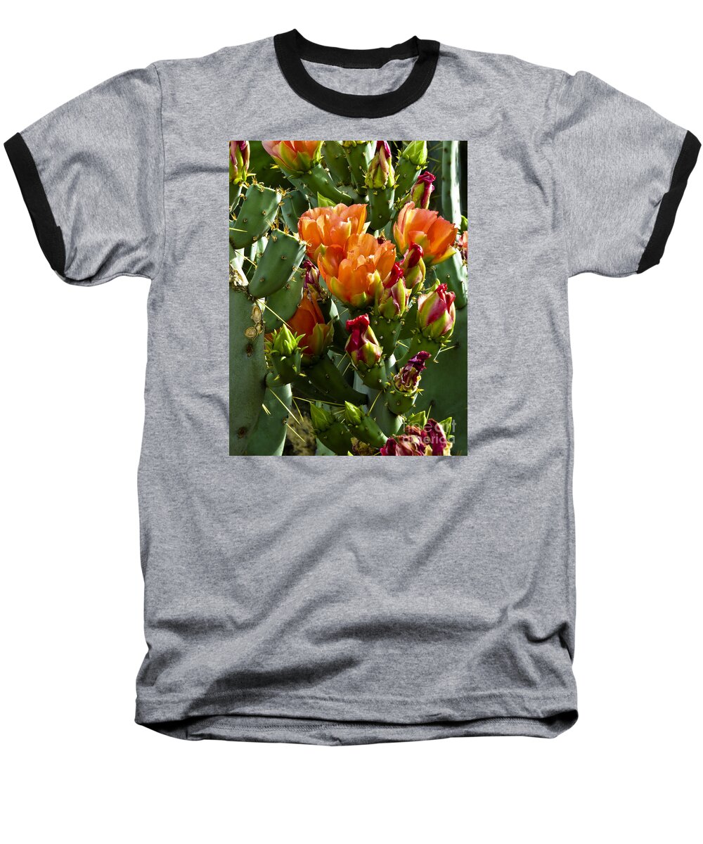 Arizona Baseball T-Shirt featuring the photograph Buds N Blossoms by Kathy McClure