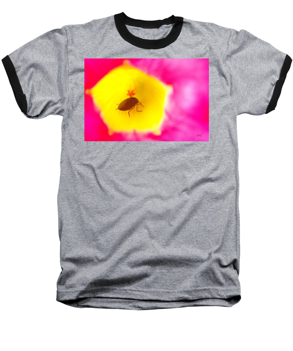 Animal Baseball T-Shirt featuring the photograph Bug In Pink And Yellow Flower by Ben and Raisa Gertsberg