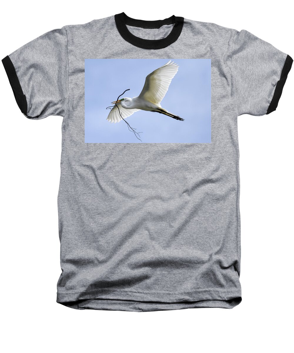 Birds Baseball T-Shirt featuring the photograph Building a Home by Gary Wightman