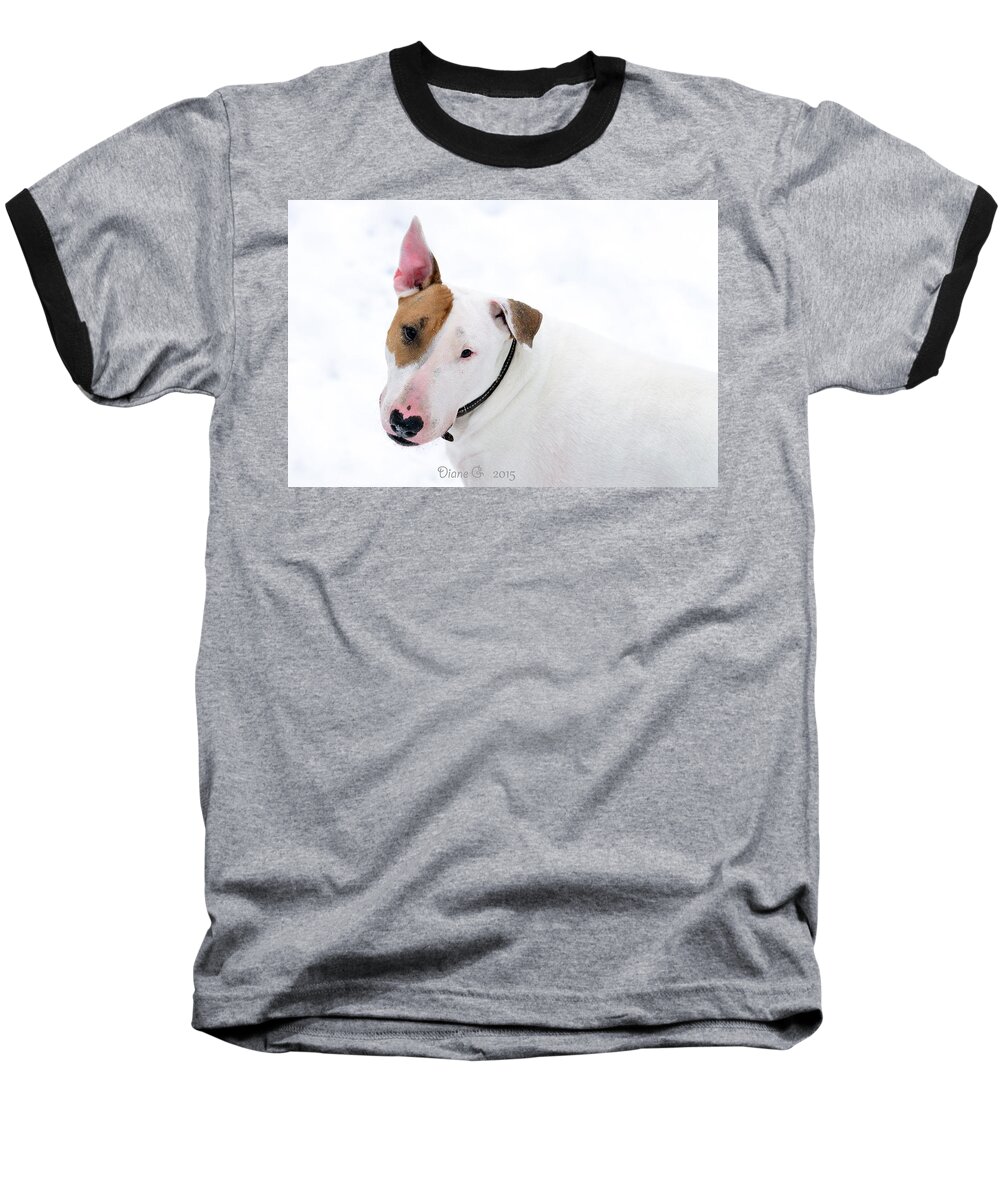 Bull Terrier Baseball T-Shirt featuring the photograph Bull Terrier by Diane Giurco