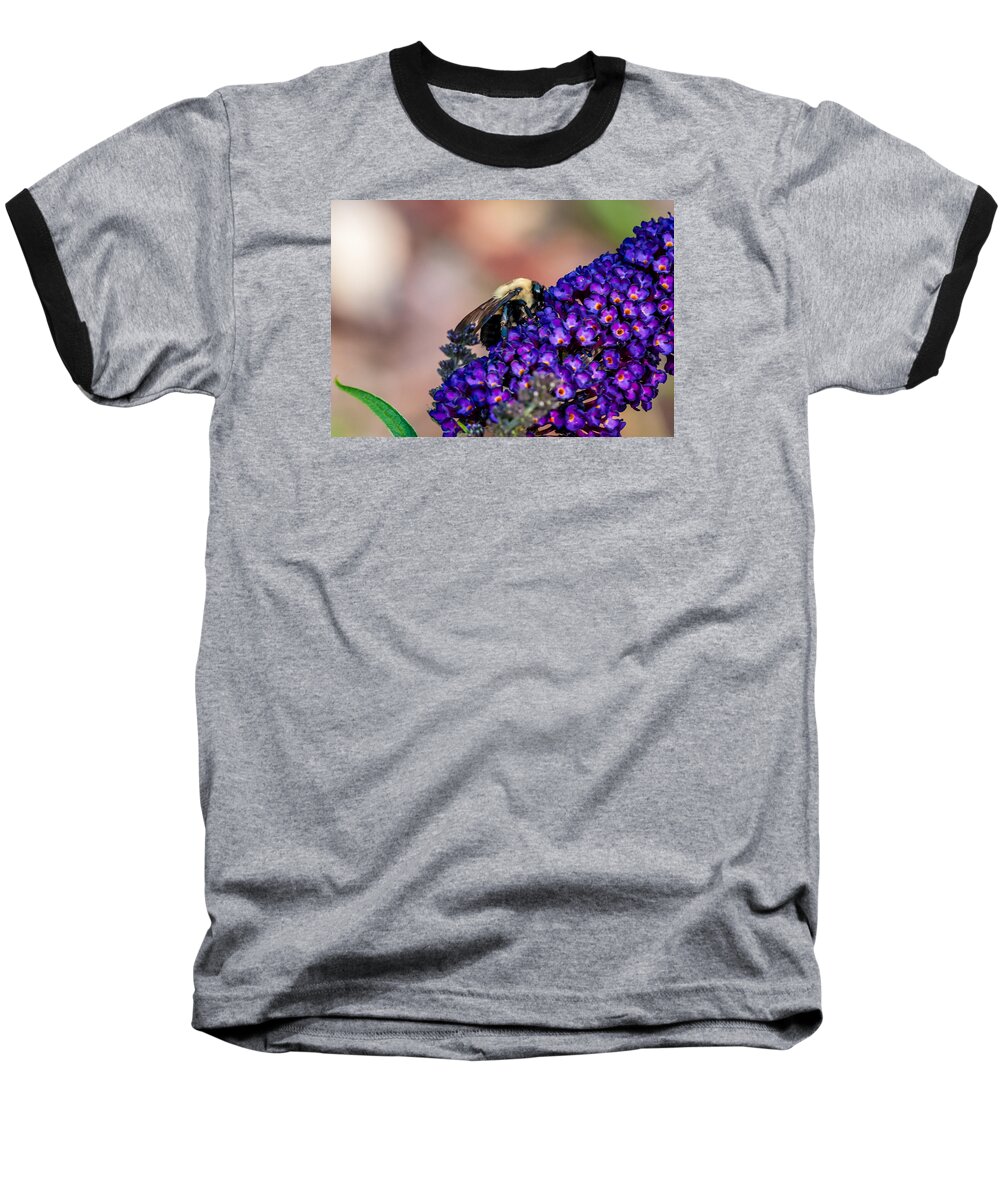 Bee Baseball T-Shirt featuring the photograph Bumble Bee by James L Bartlett