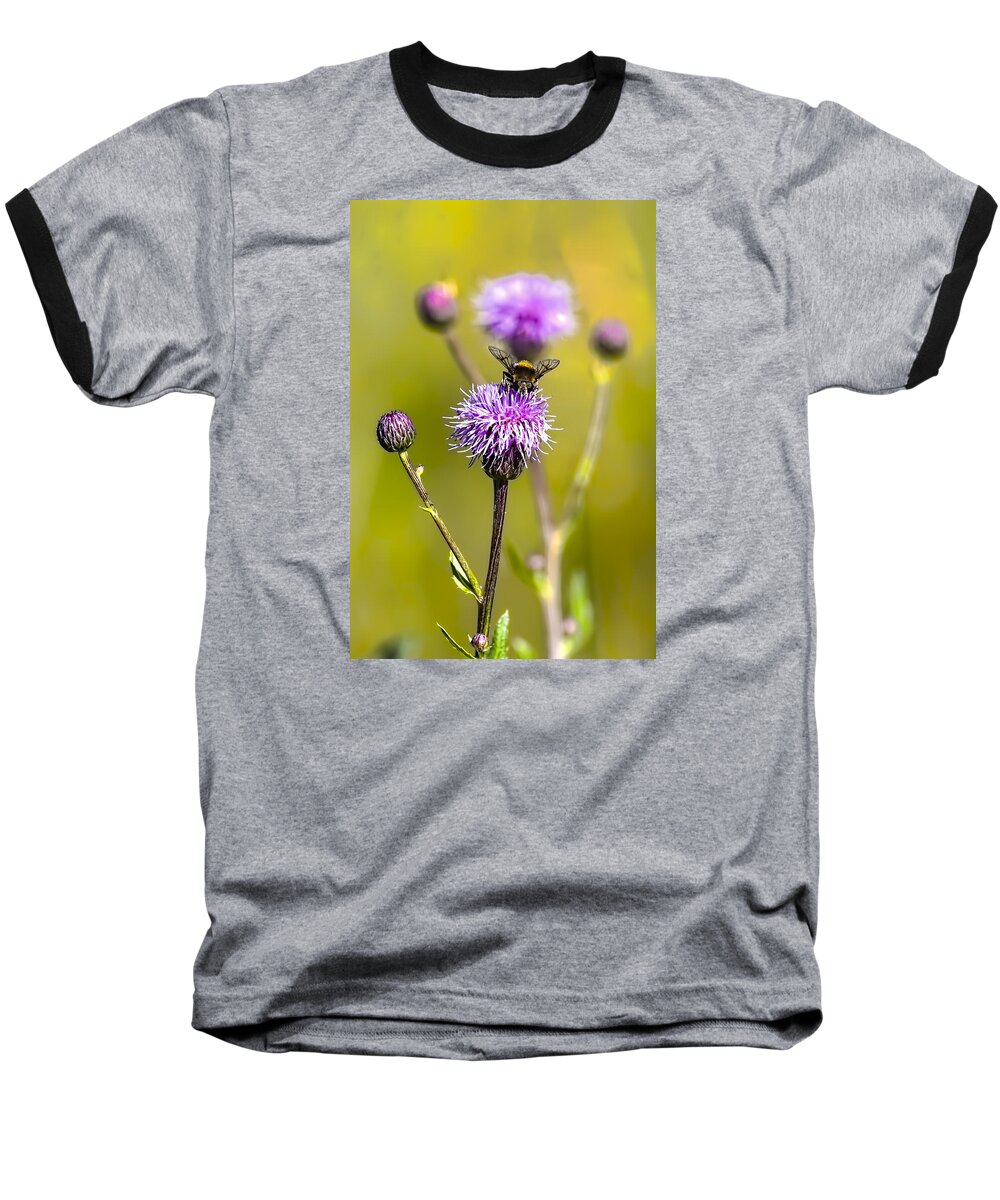 Bumblebee Baseball T-Shirt featuring the photograph Bumblebee Aug 2015 by Leif Sohlman