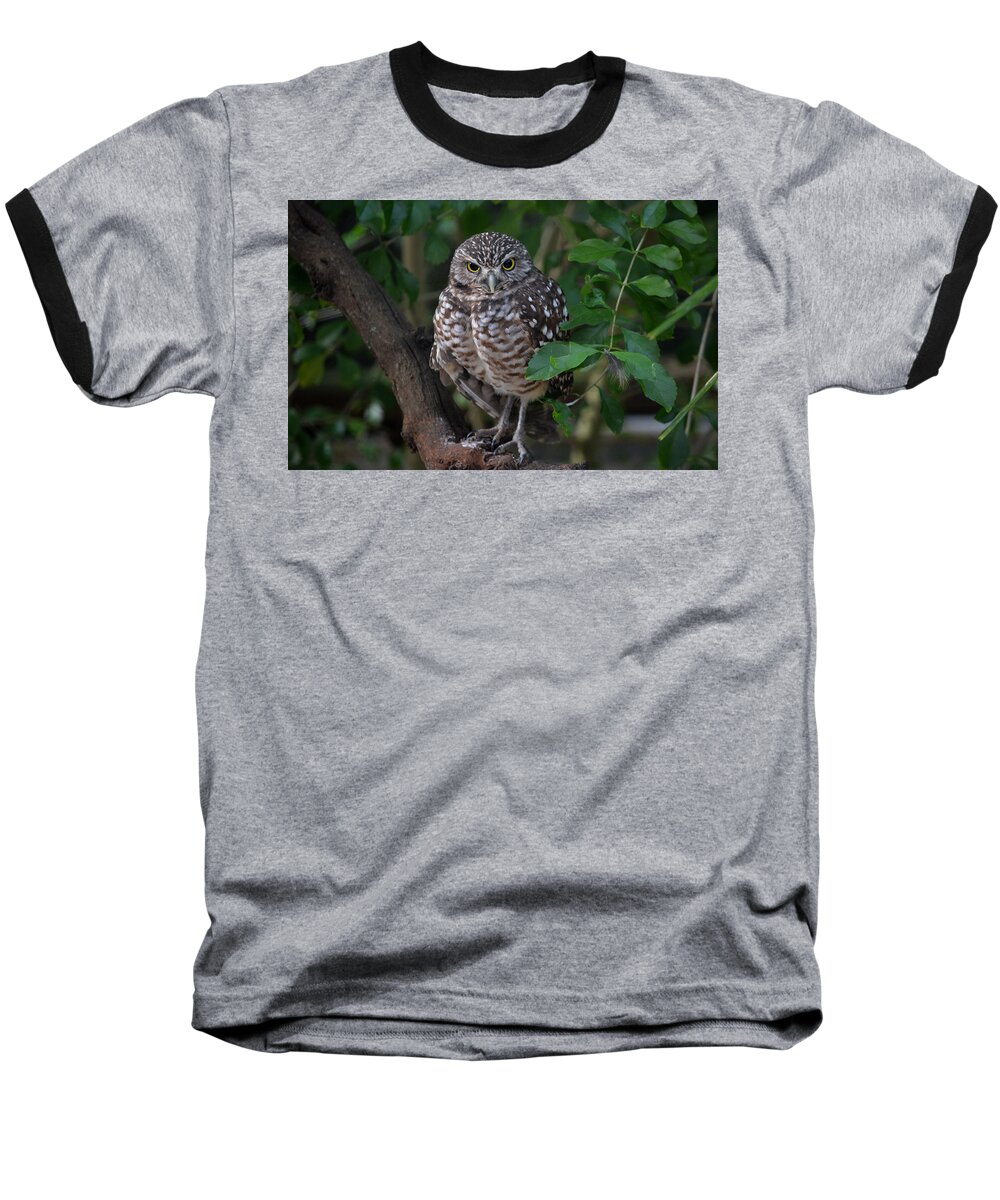 Burrowing Owl Baseball T-Shirt featuring the photograph Burrowing Owl color version by Judy Wanamaker