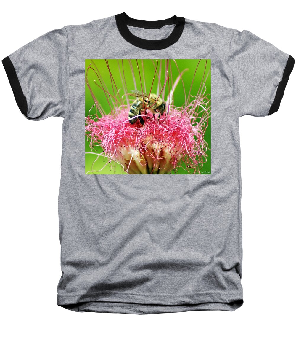 Nature Baseball T-Shirt featuring the photograph Busy Bee by Holly Kempe