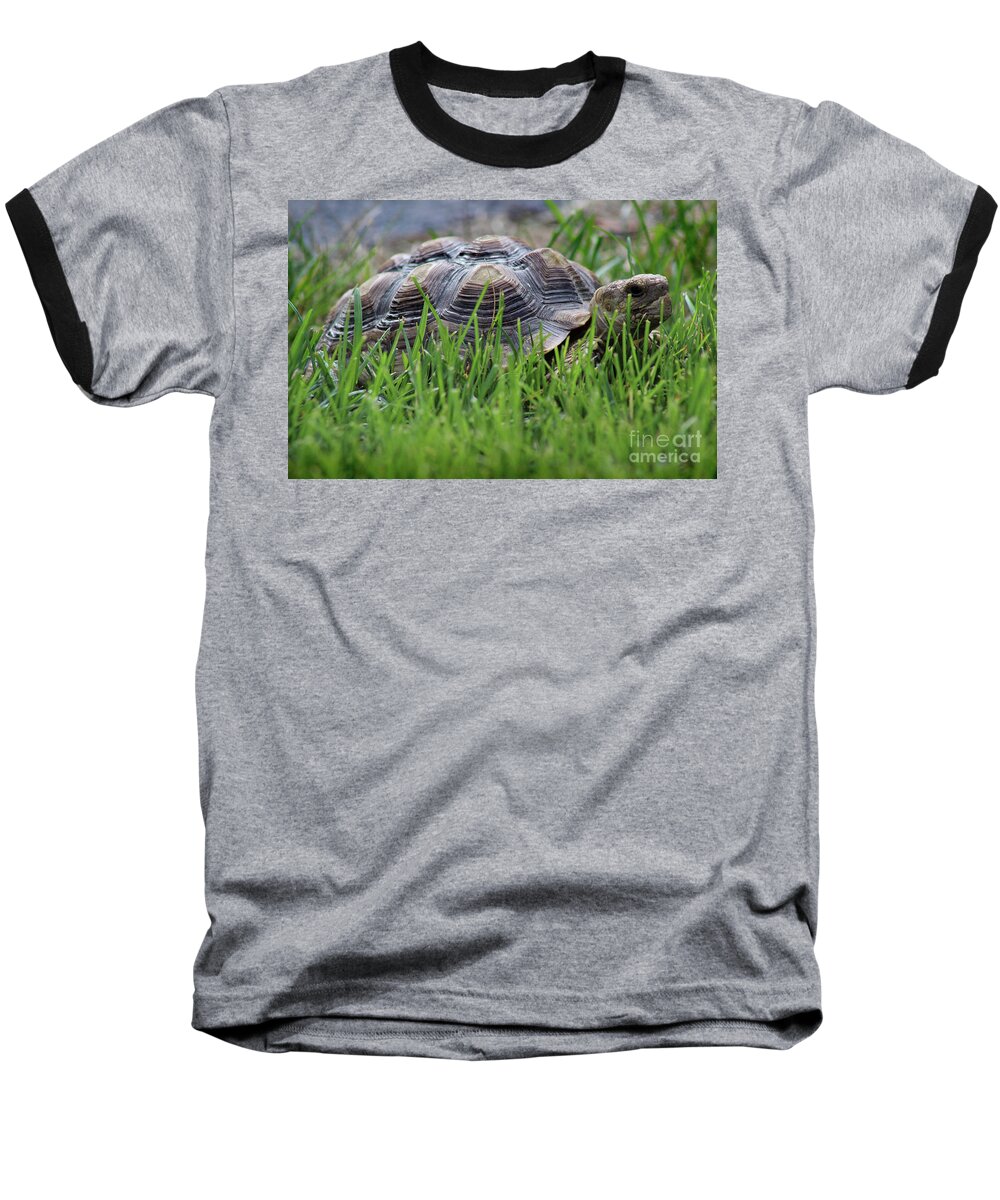 Reptile Baseball T-Shirt featuring the photograph But He Has a Great Personality by Karen Adams
