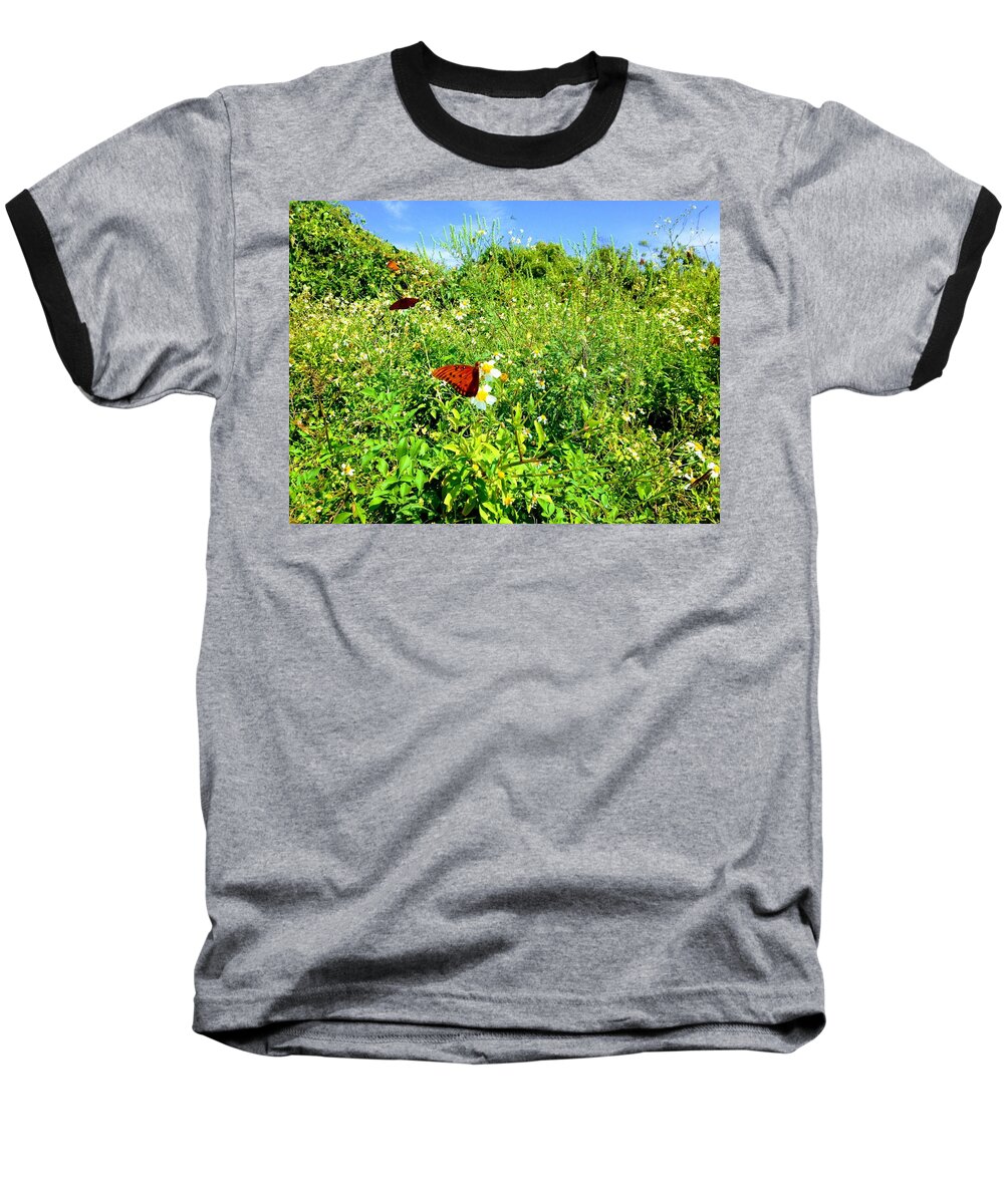 Butterfly Baseball T-Shirt featuring the photograph Butterfly Bonanza by Sherry Kuhlkin