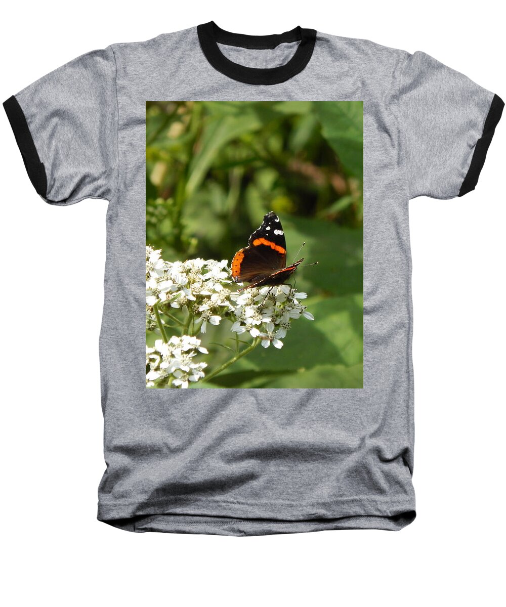 Art Baseball T-Shirt featuring the photograph Butterfly by Chris Tarpening