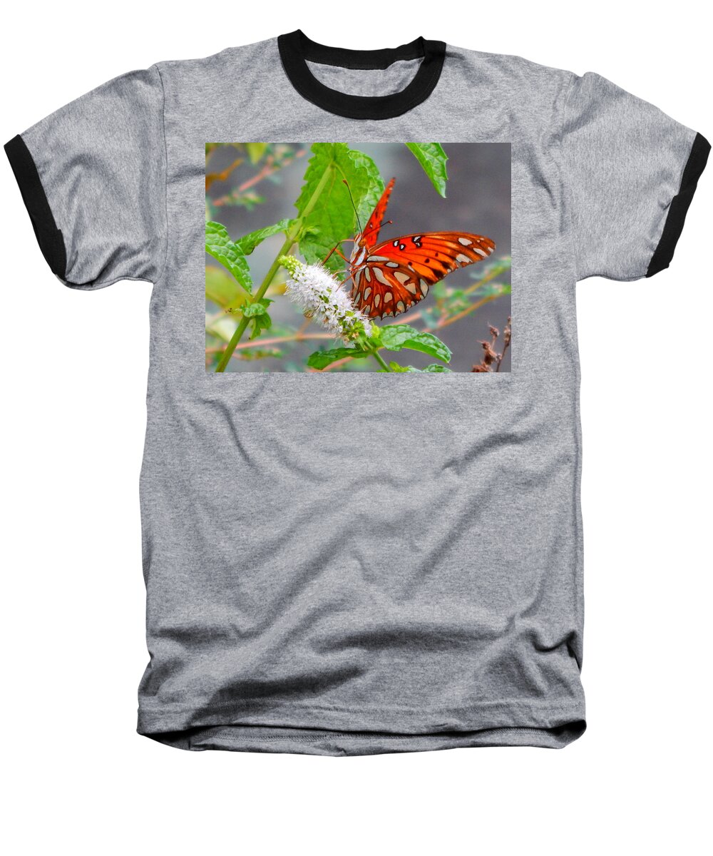 Butterfly Baseball T-Shirt featuring the photograph Butterfly Dining On Mint Blossom by Virginia White