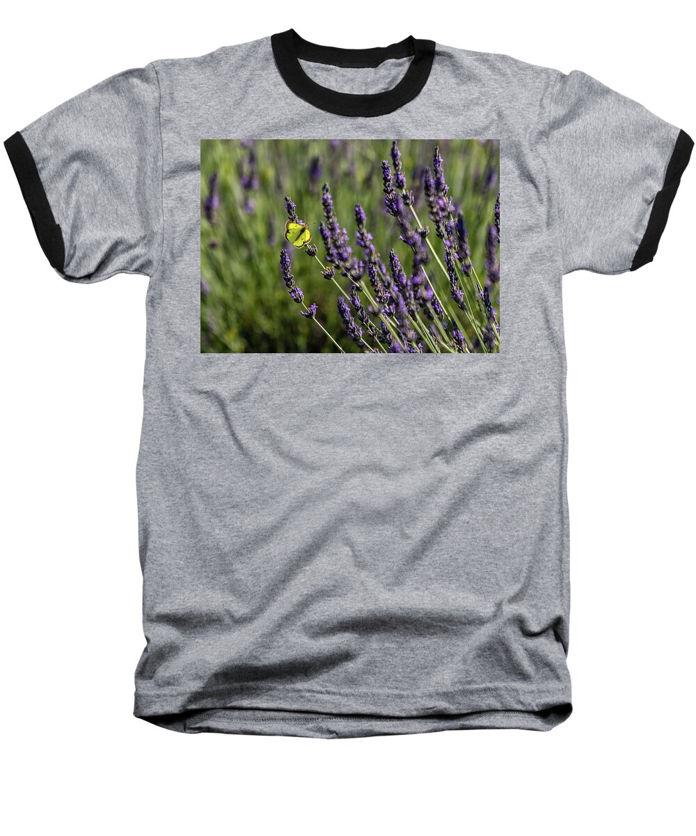 Lavender Baseball T-Shirt featuring the photograph Butterfly n Lavender by Rod Best