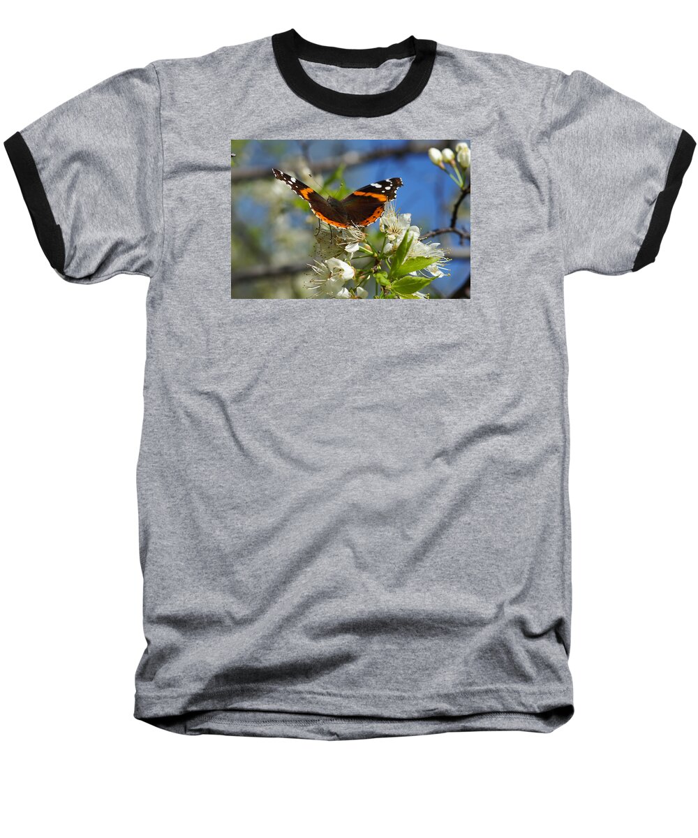 Butterfly Baseball T-Shirt featuring the photograph Butterfly on Blossoms by Steven Clipperton