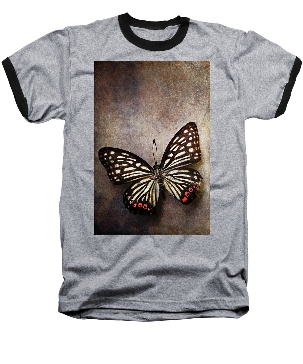 Butterfly Baseball T-Shirt featuring the photograph Butterfly over textured background by Stephanie Frey
