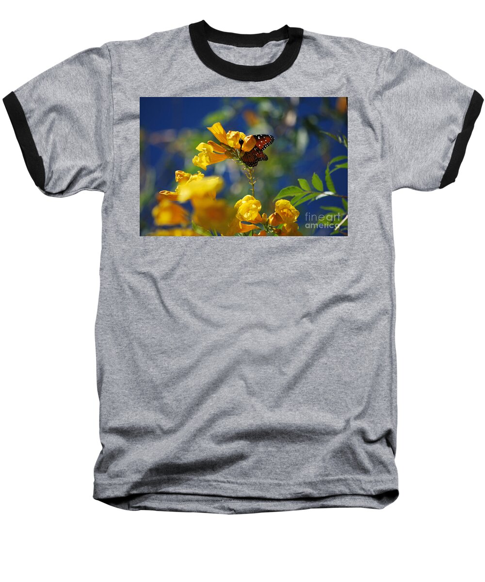 Butterfly Baseball T-Shirt featuring the photograph Butterfly Pollinating Flowers by Donna Greene
