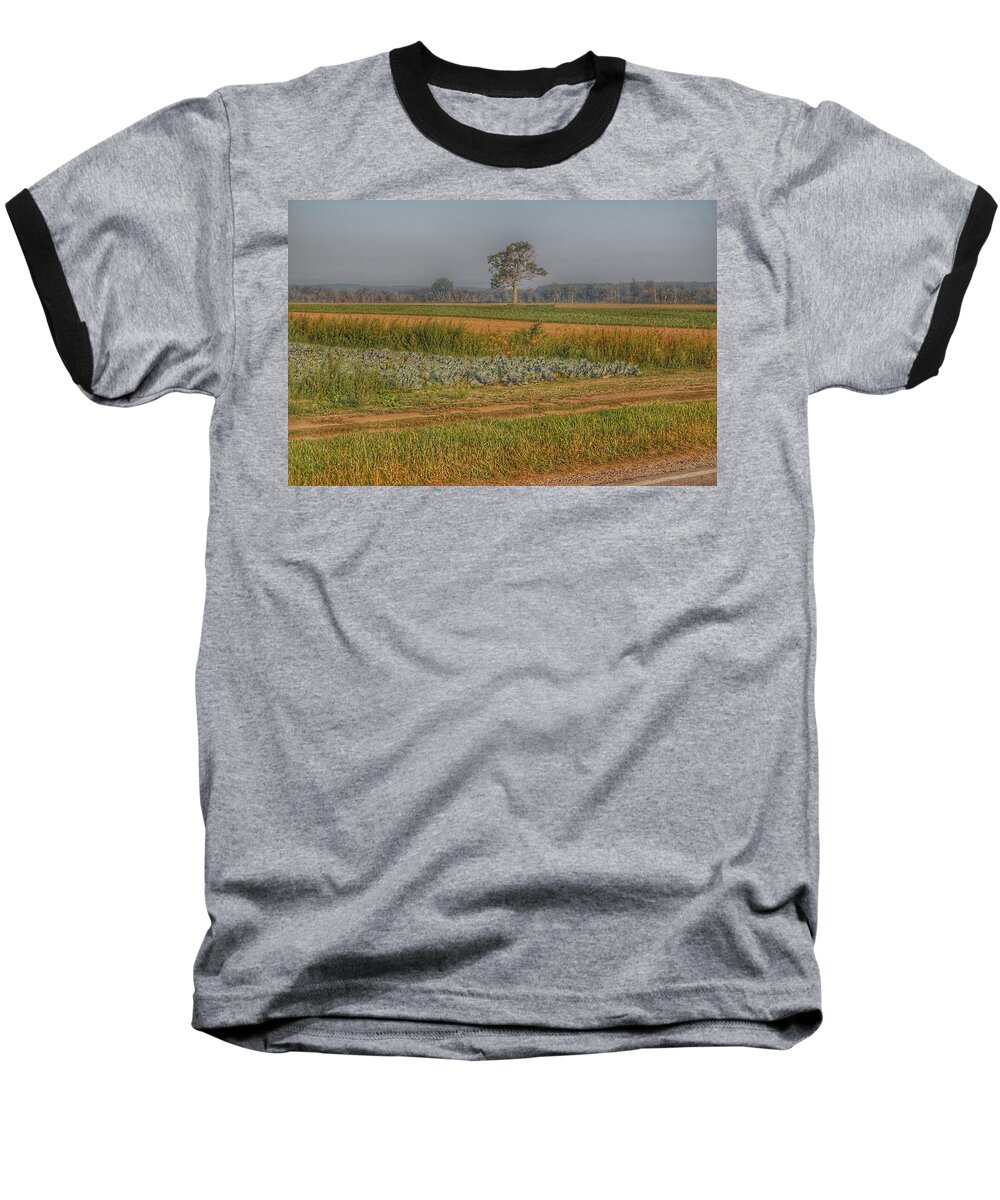 Cabbage Baseball T-Shirt featuring the photograph 2009 - Cabbage and Pumpkin Patch by Sheryl L Sutter