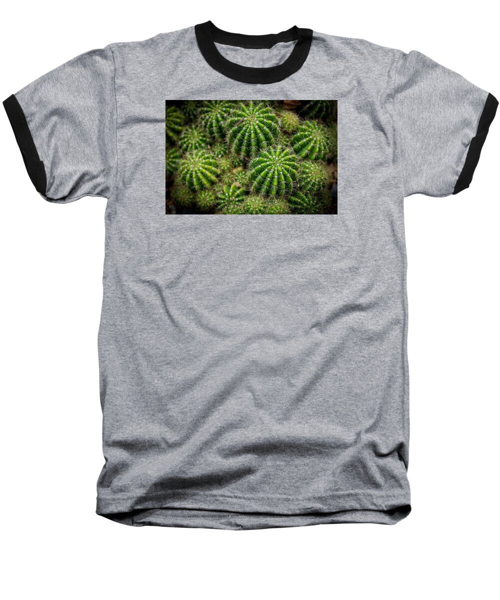 Cacti Baseball T-Shirt featuring the photograph Cacti by Keith Hawley