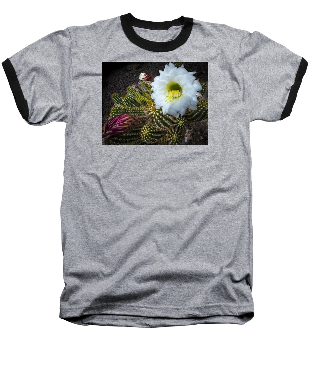 Cactus Baseball T-Shirt featuring the photograph Cactus Flowers by Phil And Karen Rispin