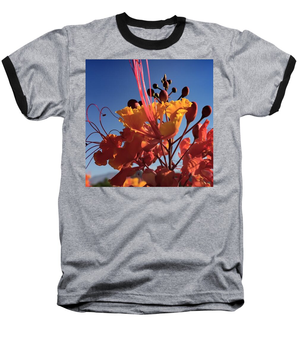 Flower Baseball T-Shirt featuring the photograph Caesalpinia Bird of Paradise by Chris Tarpening