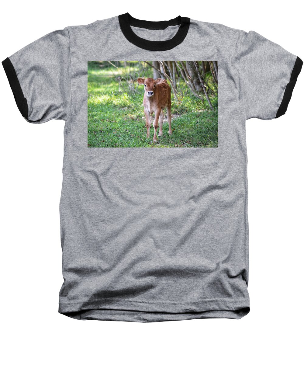 Calf Baseball T-Shirt featuring the photograph Calf by Joseph Caban