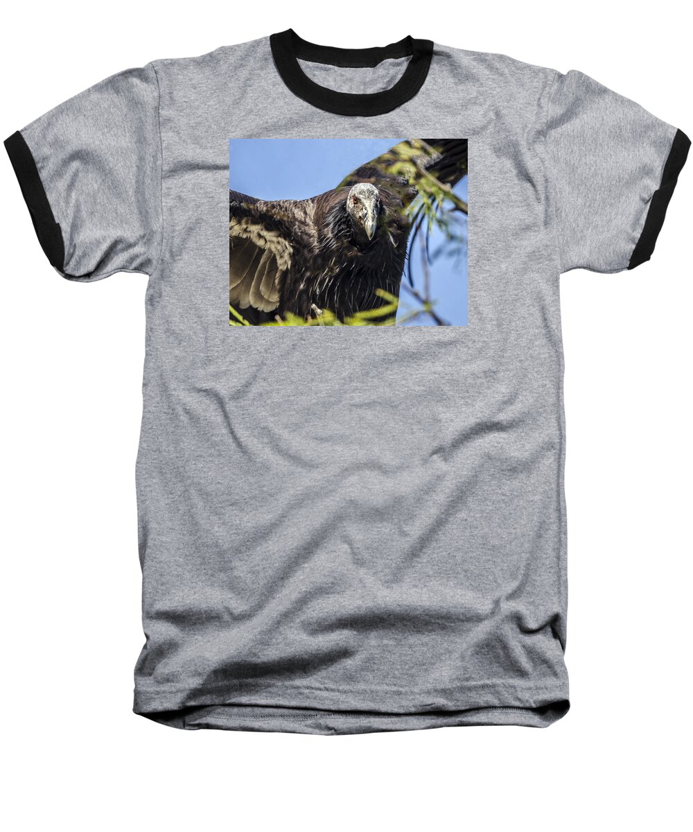 California Condor Baseball T-Shirt featuring the photograph California Condor Portrait by William Bitman