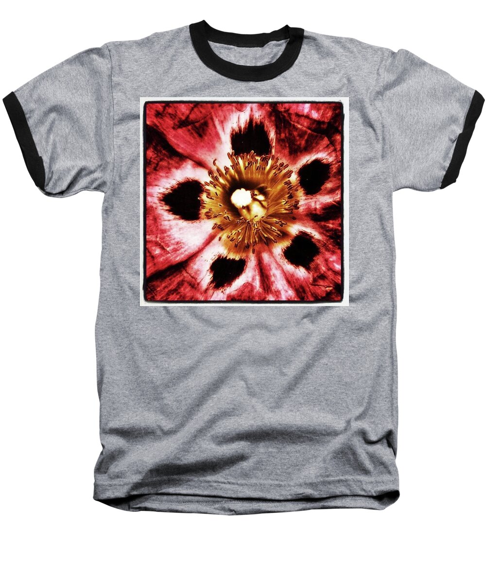 Thedailyflower Baseball T-Shirt featuring the photograph Can You Guess What Flower? Hints: It's by Mr Photojimsf