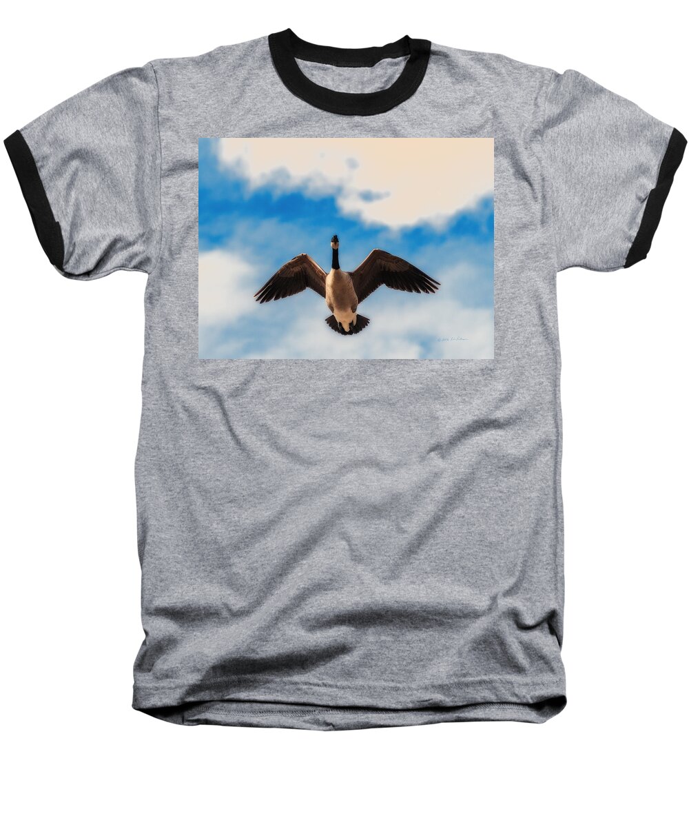 Heron Heaven Baseball T-Shirt featuring the photograph Canada Geese In Spring by Ed Peterson