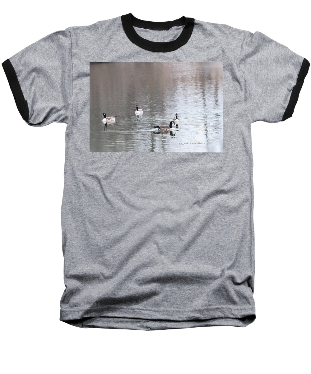 Heron Heaven Baseball T-Shirt featuring the photograph Canada Geese Swing by Ed Peterson