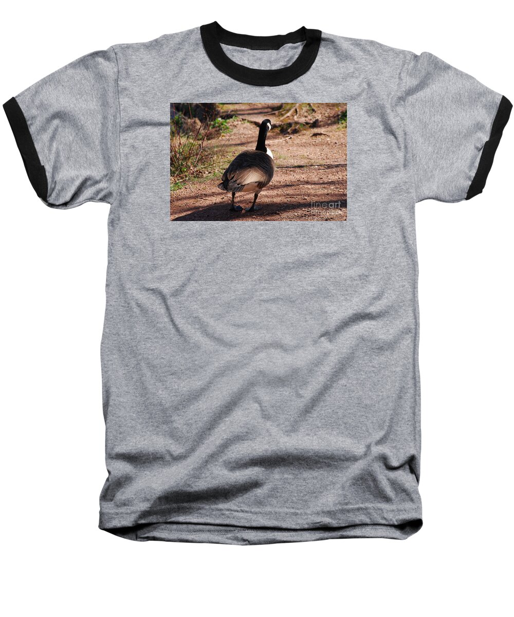 Canada Goose Baseball T-Shirt featuring the photograph Canada Goose 20120406_63a by Tina Hopkins