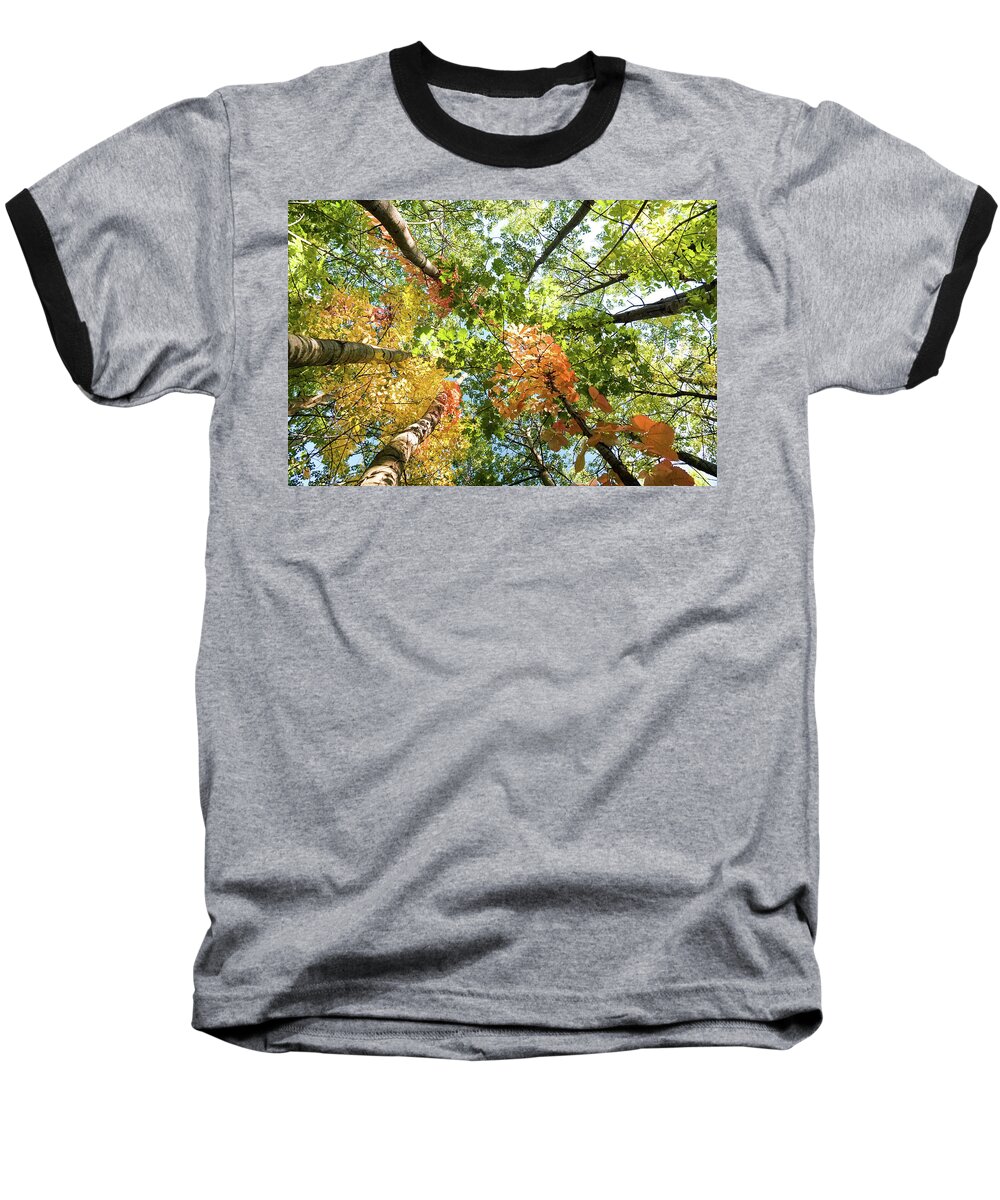 Canada Baseball T-Shirt featuring the photograph Canadian Foliage by Nick Mares