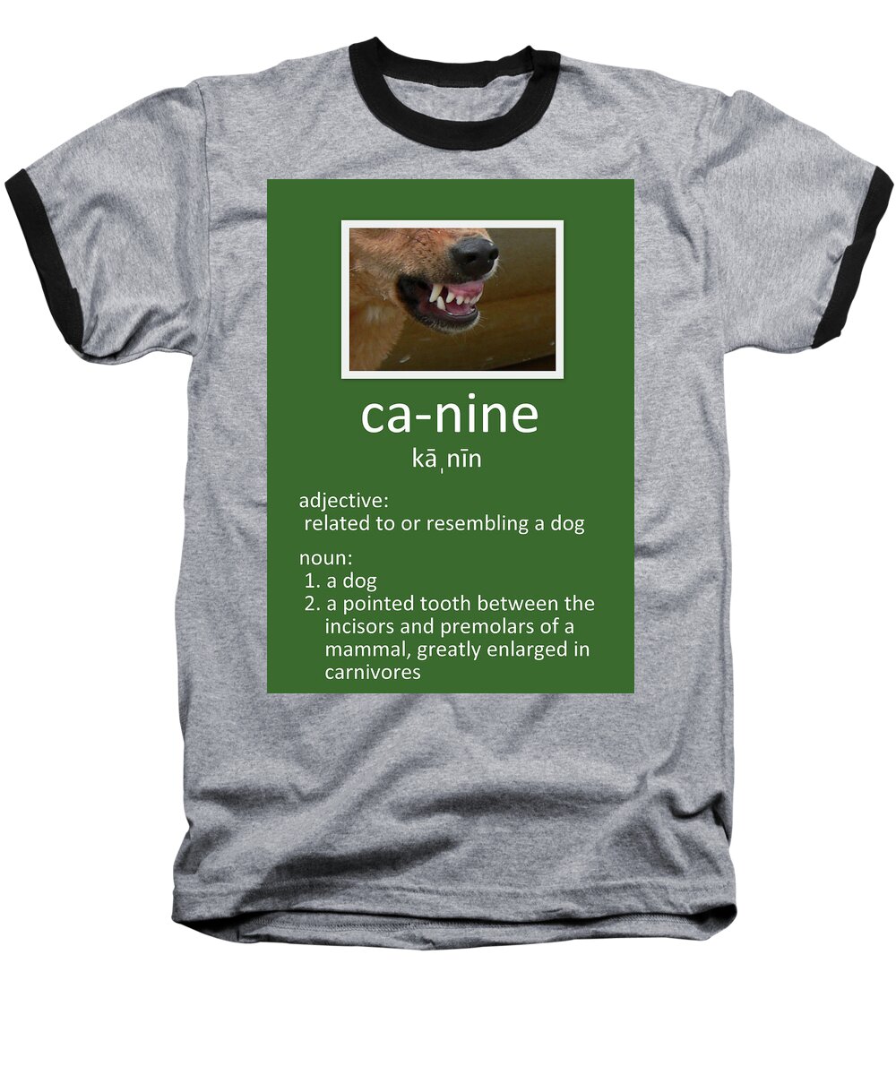 Canine Poster Baseball T-Shirt featuring the photograph Canine Poster by Kathy K McClellan