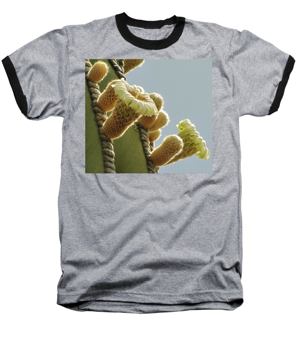 Cardon Cactus Baseball T-Shirt featuring the photograph Cardon Cactus Flowers by Marilyn Smith