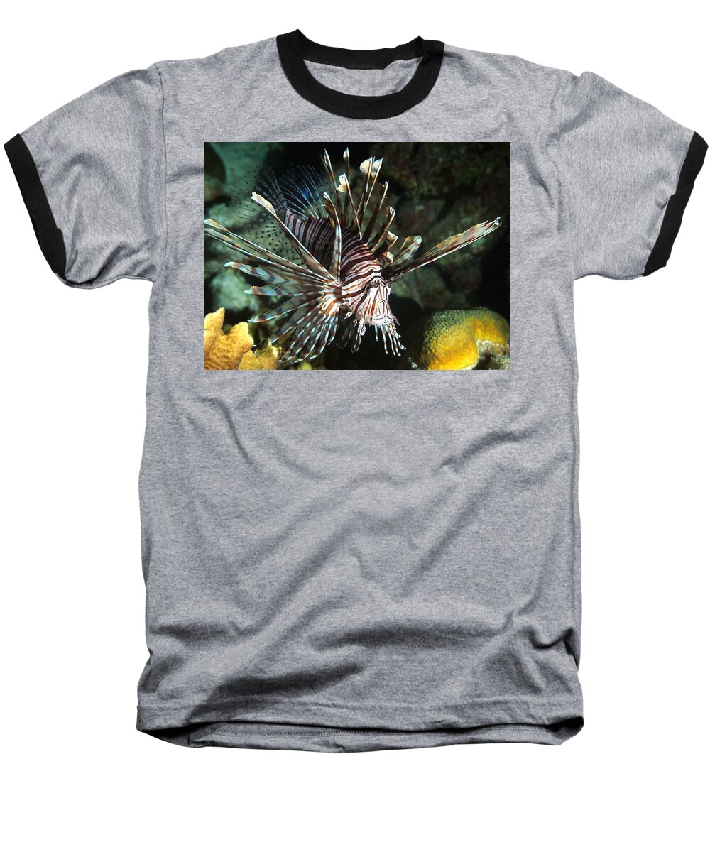 Lionfish Baseball T-Shirt featuring the photograph Caribbean Lion Fish by Amy McDaniel