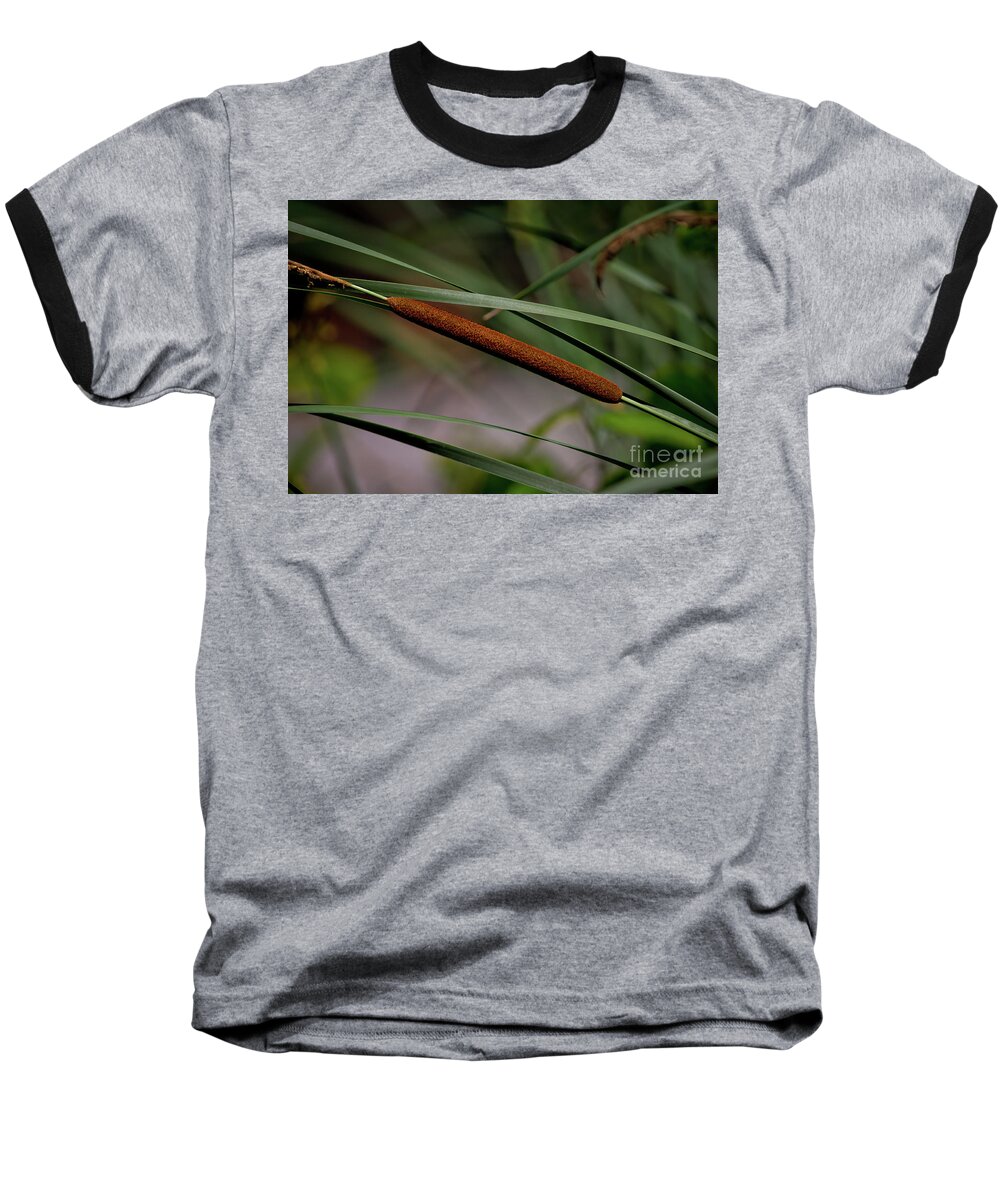 Cattail Baseball T-Shirt featuring the photograph Cattail II by Douglas Stucky