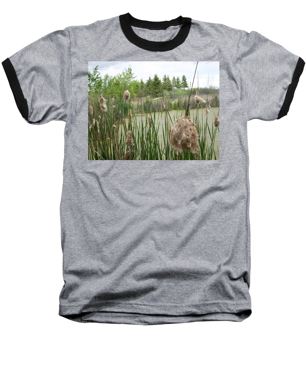 Wetlands Baseball T-Shirt featuring the photograph Cattails by Mary Mikawoz
