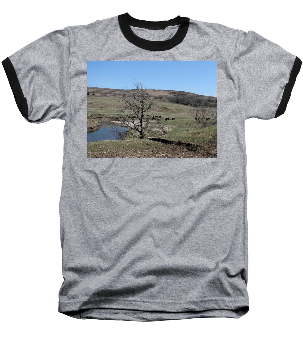 Cattle Baseball T-Shirt featuring the photograph Cattle Along Deep Creek by Keith Stokes