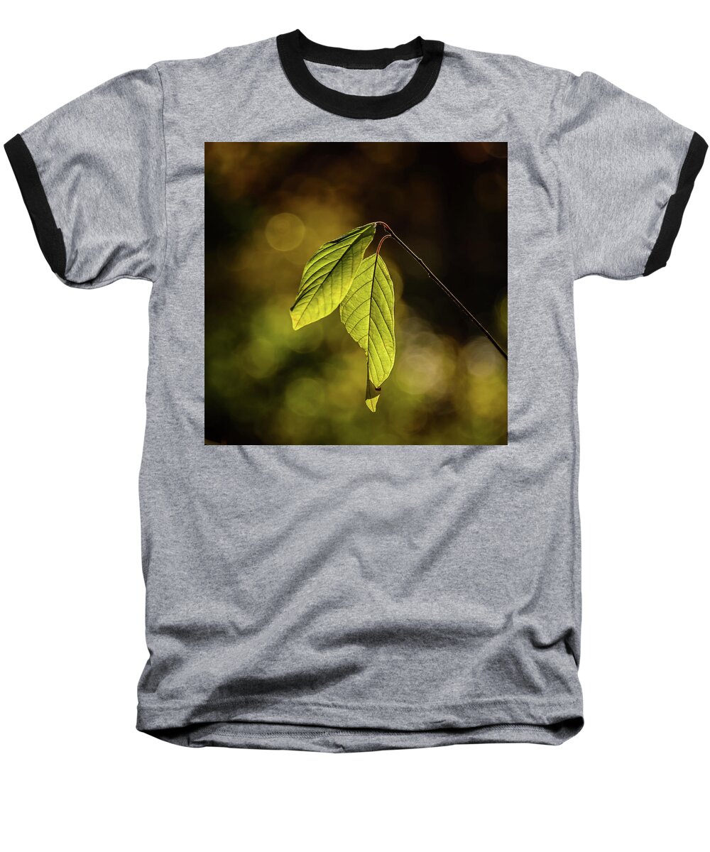 Nature Baseball T-Shirt featuring the photograph Caught in the Light by Robert Mitchell