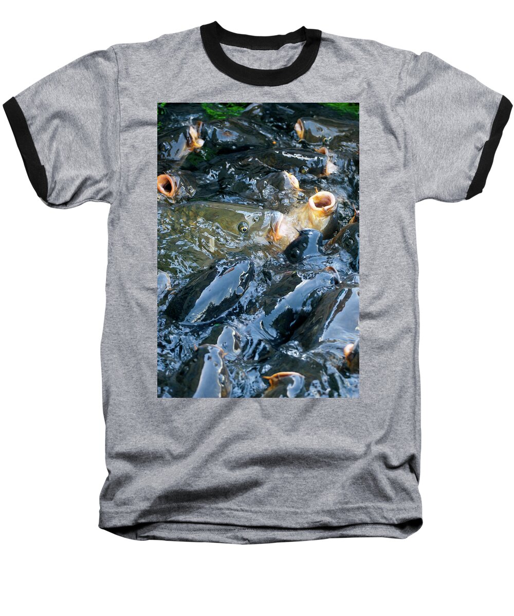 Crowds Baseball T-Shirt featuring the photograph Caught in the Masses by Anthony Jones