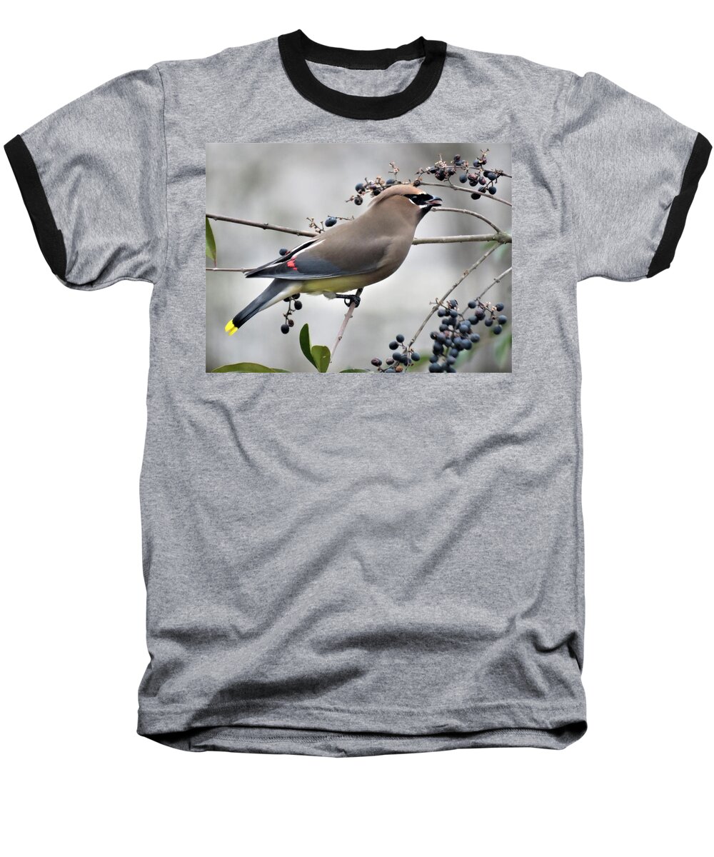 Kathy Long Baseball T-Shirt featuring the photograph Cedar Waxwing 2 by Kathy Long