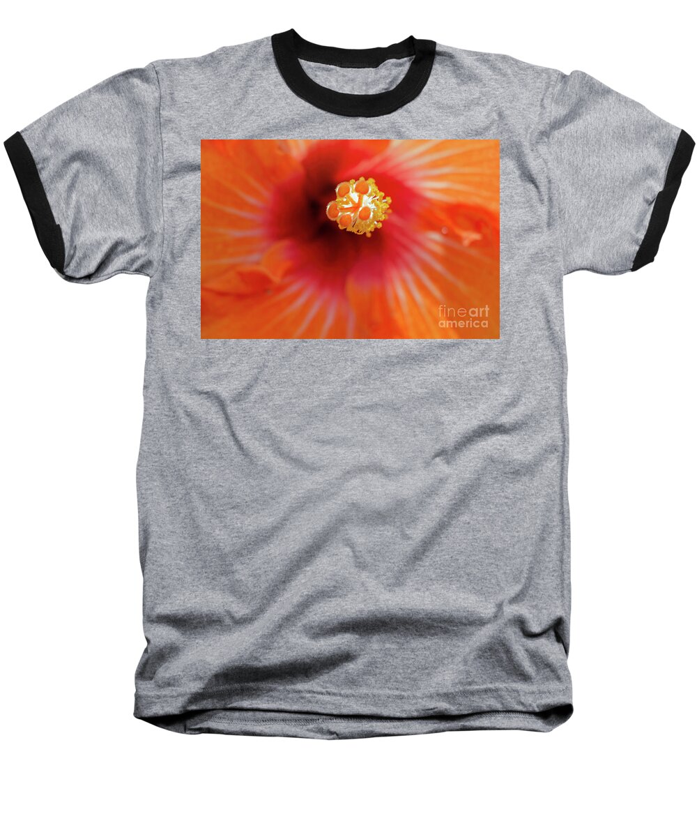 Flower Baseball T-Shirt featuring the photograph Centre of Attention by Karen Lewis