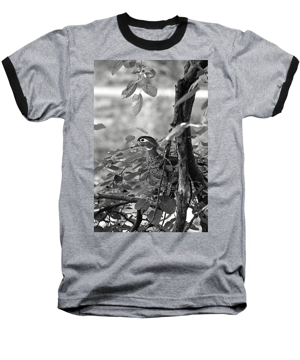 Waterfowl Baseball T-Shirt featuring the photograph Checking You Out by La Dolce Vita