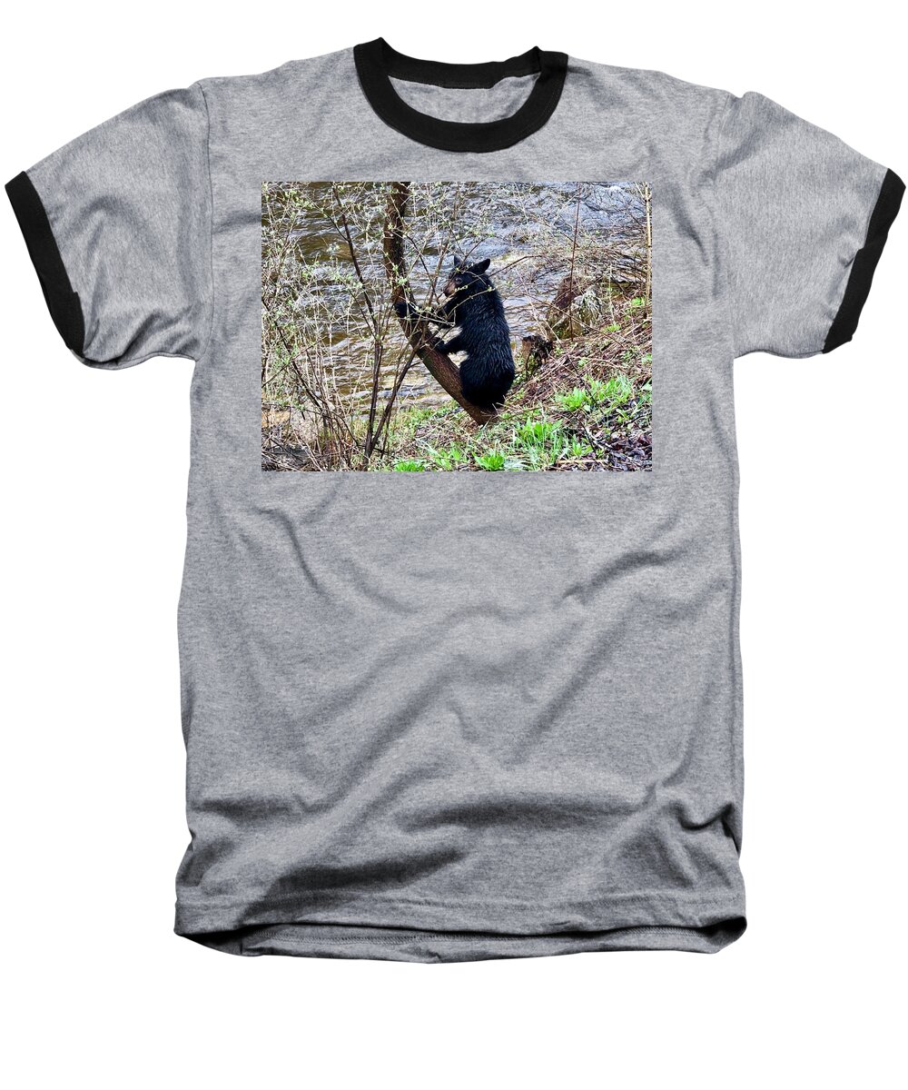 Bear Baseball T-Shirt featuring the photograph Cherry River Black Bear by Chris Berrier