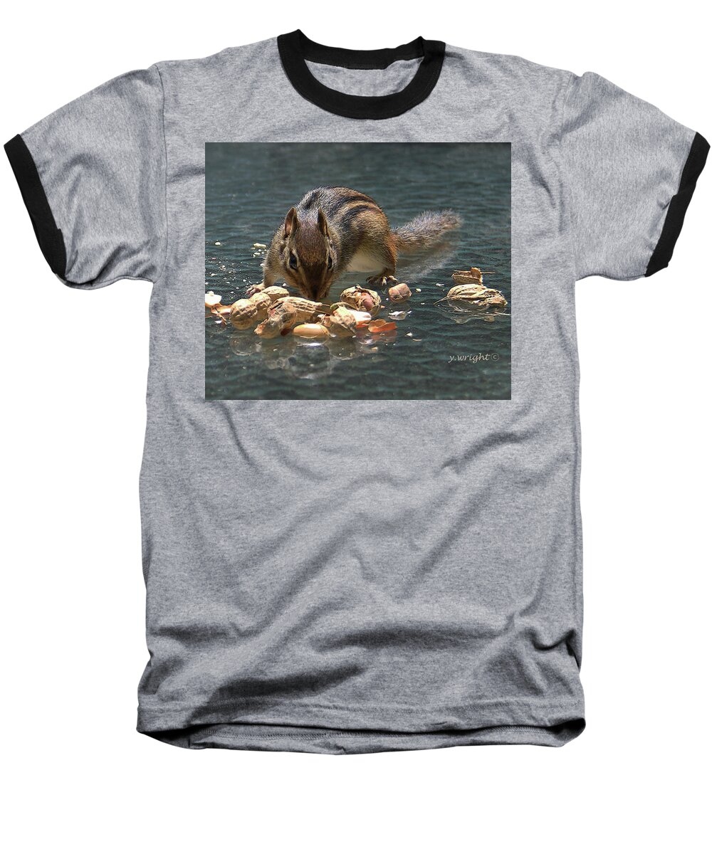 Chipmunk Baseball T-Shirt featuring the photograph Chippy's Breakfast by Yvonne Wright
