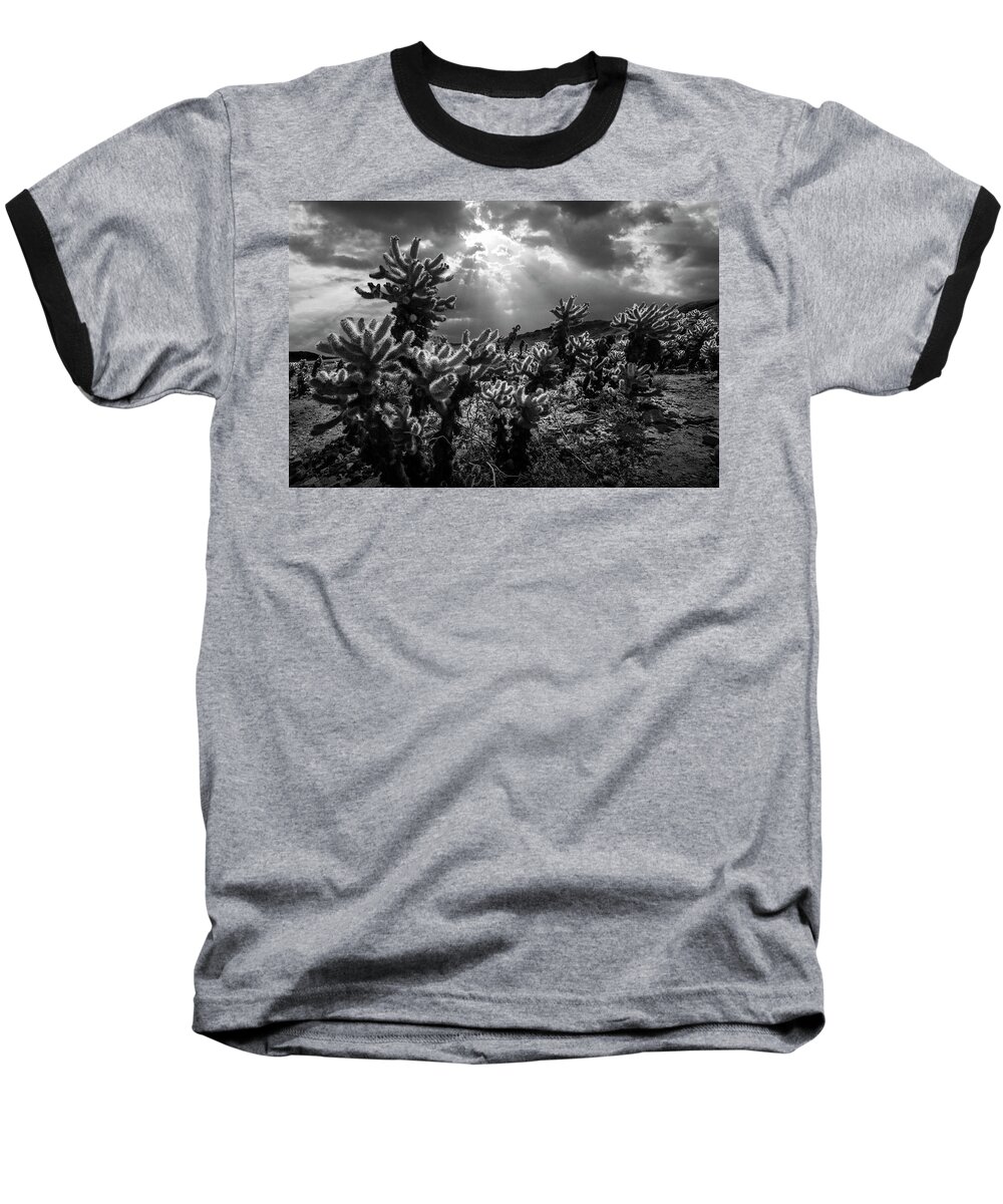 Art Baseball T-Shirt featuring the photograph Cholla Cactus Garden bathed in Sunlight in Black and White by Randall Nyhof